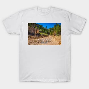 Lick Wash Trail Hike T-Shirt